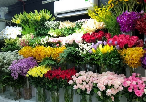 Đặt mua hoa tươi ở Cam Ranh